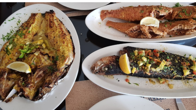افضل مطاعم سمك في الدوحة ( الاسعار + المنيو + الموقع )